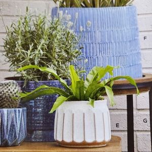 Better Homes & Gardens 6" Planter/Pot